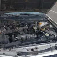 دوو سی یلو
