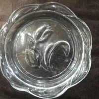 ۲۴ عدد زیر لیوانی|ظروف نگهدارنده، پلاستیکی، یک‌بارمصرف|شوش, |دیوار