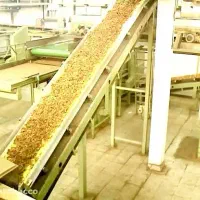 استخدام نیروی تازه وارد در شرکت سیگار