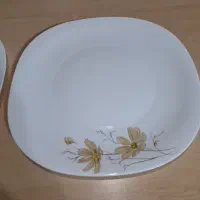 دیس برنج خوری آرکوپال خارجی