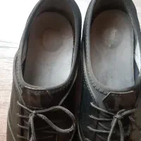 کفش اسپرت|کیف، کفش، کمربند|محمدشهر, سیدآباد|دیوار