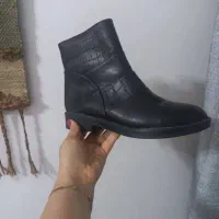 کفش نو|کیف، کفش، کمربند|دورود, |دیوار