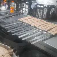 تهیه غذای درخشانی|خدمات پذیرایی، مراسم|تهران, سردارجنگل|دیوار