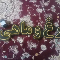 تابلو ال ای دی  مرغ ماهی|تابلو، نقاشی، عکس|تبریز, |دیوار