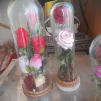 تعدادی گل دکوری|گل مصنوعی|کرج, حصارک پایین|دیوار