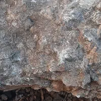 همه|کلکسیون و سرگرمی|جلفا, |دیوار