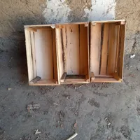 جعبه چوبی انگور|ظروف نگهدارنده، پلاستیکی، یک‌بارمصرف|مریوان, |دیوار