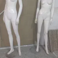 مانکن زنانه خارجی|فروشگاه و مغازه|بیرجند, |دیوار