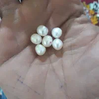 فروش ۶ عدد مروارید اصل کیش