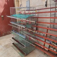 قفس اتوماتیک بلدرچین