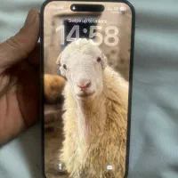 آیفون ۱۴پرو مکش