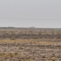 ۵۰۰۰ متر زمین کشاورزی تک برگ سند|فروش دفتر صنعتی، کشاورزی، تجاری|تربت جام, جامرود|دیوار