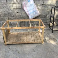 مرغ و خروس