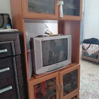 تلوزیون