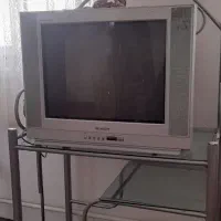 تلویزیون