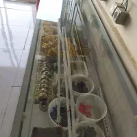 ویترین 2 متری|فروشگاه و مغازه|تایباد, |دیوار