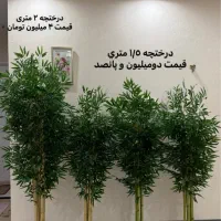 درختچه بامبو مصنوعی ۱/۵ متری با تنه طبیعی|گل مصنوعی|مشهد, شهرک لشکر (شهرک غرب)|دیوار