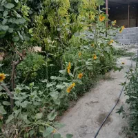 زمین چهار دیواری جاده ساحلی  زیر قیمت منطقه