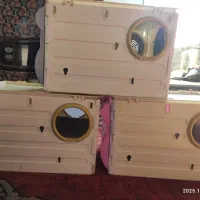 لانه لونه عروس هلندی طولی برزیلی