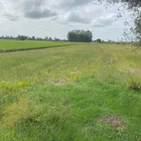 فروش ۵ هزار متر زمین کشاورزی سرخ رود