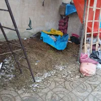 کود مرغ ارگانیک|خدمات باغبانی و درختکاری|رباط‌کریم, نوده|دیوار