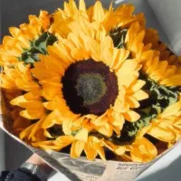 استخدام منشی خانم