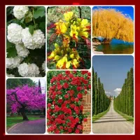 پک تخفیفی اقتصادی مارکت نهال