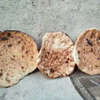 بوم‌گردی عیاران|اجارهٔ کوتاه‌مدت ویلا و باغ|زابل, |دیوار