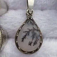 پلاک شجر اصلی