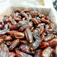 خرما خاصوی ۱۶۰|عمده‌فروشی|تهران, امام حسین|دیوار