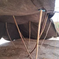 سیاه چادر عشایری