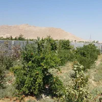 فروش باغ ۵۰۰ متر میدان کشاورز قهجاورستان|فروش خانه و ویلا|اصفهان, قهجاورستان|دیوار