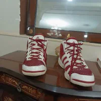 کتونی آدیداس ۵۱|کیف، کفش، کمربند|شمشک, |دیوار