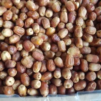 کارگر ساده آقا