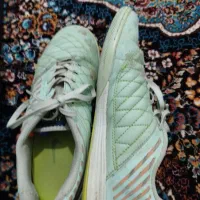 تربت حیدریه