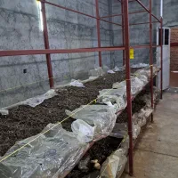 فروش وسایل پرورش قارچ|ماشین‌آلات صنعتی|بلبان آباد, |دیوار