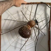 چراغ خواب عنکبوتی