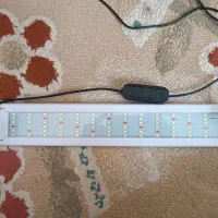 ۲ عدد اکواریوم و تمامی لوازم|ماهی|قدس, شهرقدس|دیوار