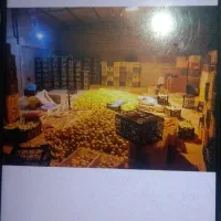 انبار اجاره ای