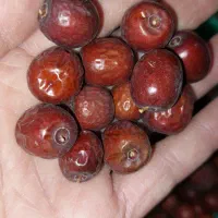 عناب|خوردنی و آشامیدنی|بیرجند, |دیوار