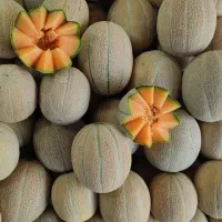 کارگر آقا برای شیفت شب در میوه فروشی