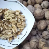 گردویه تازه امسال فقط 5 کیلو مانده