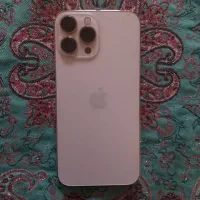 ایفن 13پرو مگس