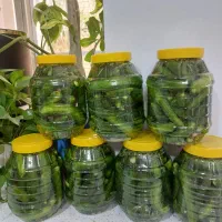 ترشی و شوری خانگی ترد و خوشمزه|خوردنی و آشامیدنی|قم, زنبیل آباد|دیوار