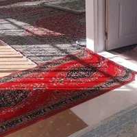 اجاره هفتگی/روزانه ویلا ۵۰۰ متری