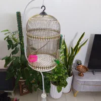 قفس پایه دار سالم