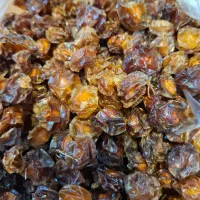 آلوچه|خوردنی و آشامیدنی|مشهد, ویلاشهر|دیوار