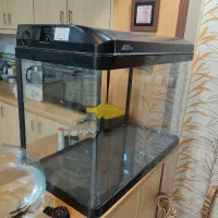 اکواریوم شرکتی|ماهی|اصفهان, کشاورزی|دیوار