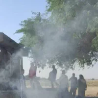 زمین زراعی برقی برای کشاورزی