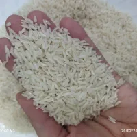 برنج هاشمی کیلویی 430